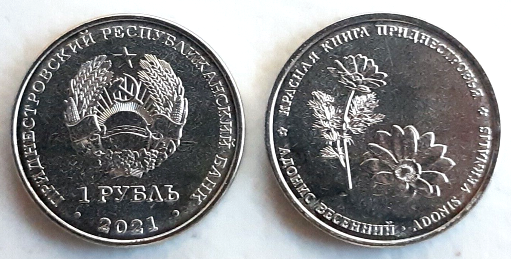 Transnistria 1 Rouble 2021 coin Spring Adonis uncirculated