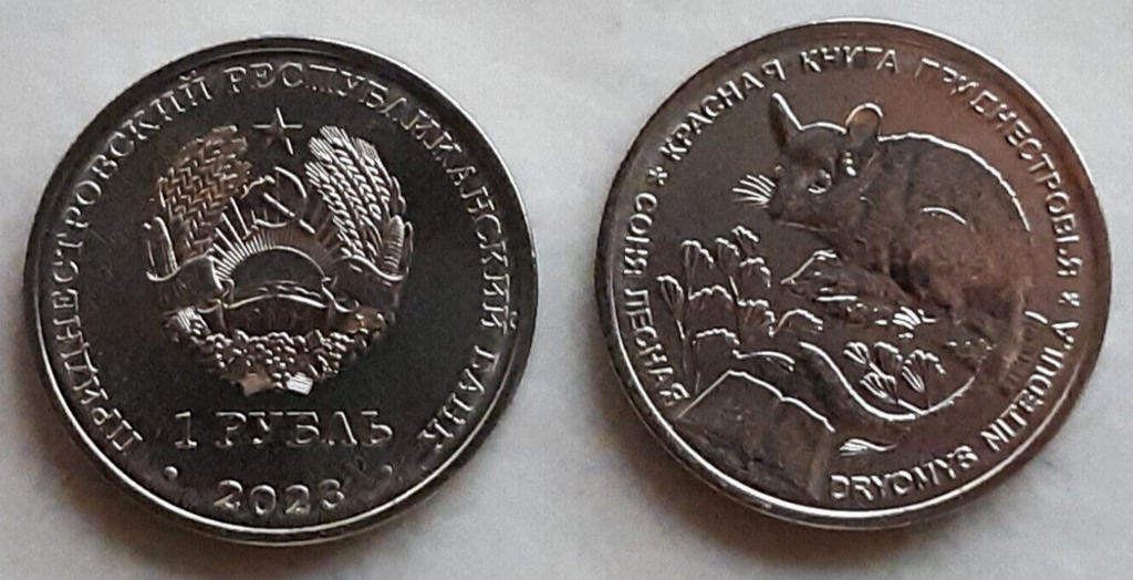 Transnistria 1 Rouble 2023 Sonia Forest Dryomys NitedulaI uncirculated