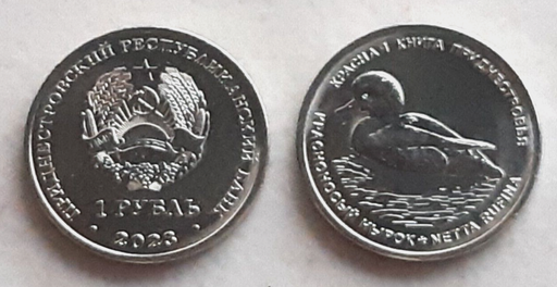 [196178938925] Transnistria 1 Rouble 2021 coin Red-Nosed Dive uncirculated