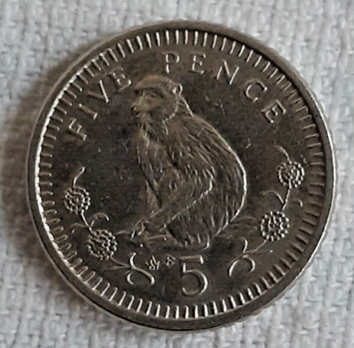 [196892972563] Gibraltar 5 pence coin 1990 Barbary Macaque lightly circulated KM#22.2 ABmark