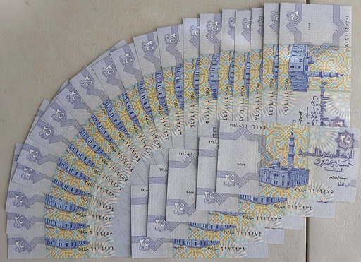 [195492904098] Egypt 25 Piastres 1999 P-57b banknote uncirculated from bank bundle 25 pcs