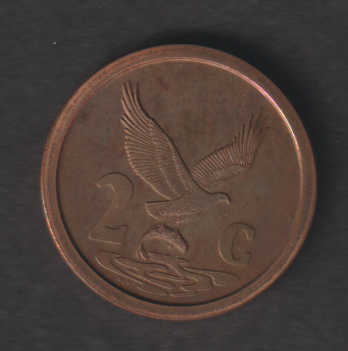 [197284882252] South Africa 1992 2c Two cents proof coin toned