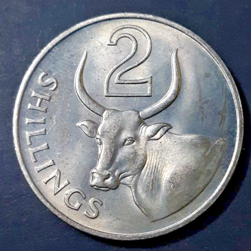 [196547086921] Gambia 2 shillings 1966 almost uncirculated coin great condition
