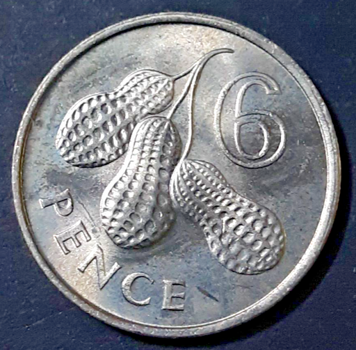 [196547108885] Gambia 6 pence 1966 almost uncirculated coin great condition