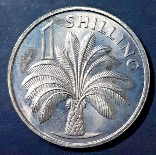 [196547113293] Gambia 1 shilling 1966 almost uncirculated coin great condition
